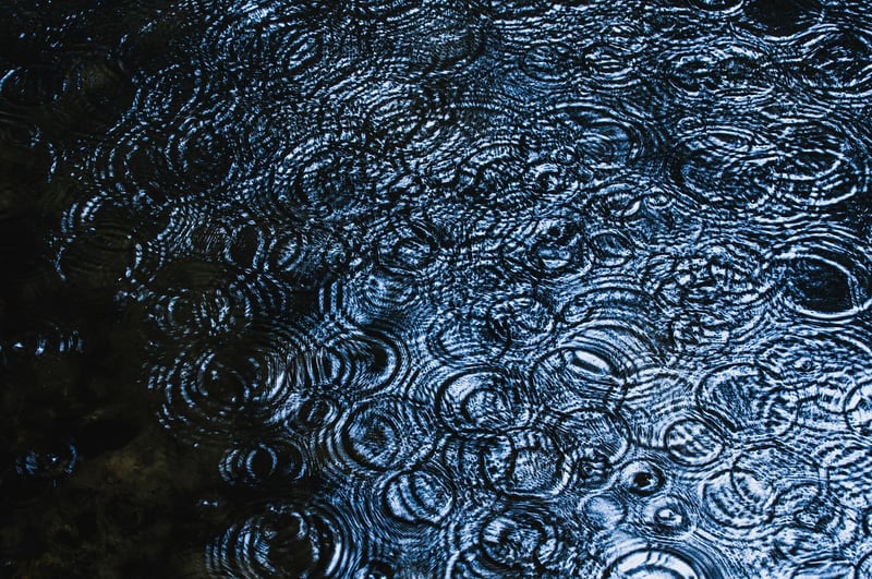 Meditative Movements